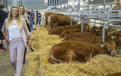 Lucie Borhyová se fotila mezi krávami